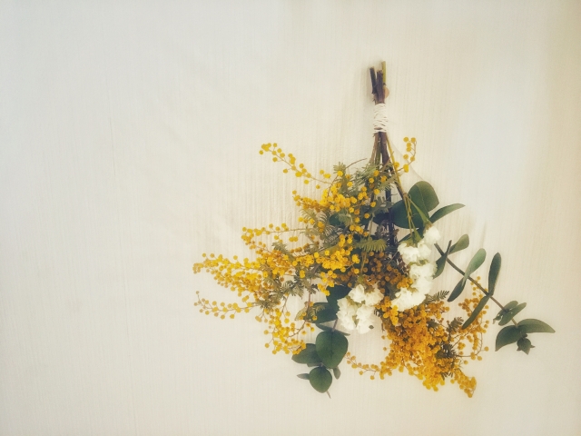 ミモザの季節と花言葉の魅力！春を告げる花の特別な意味と楽しみ方