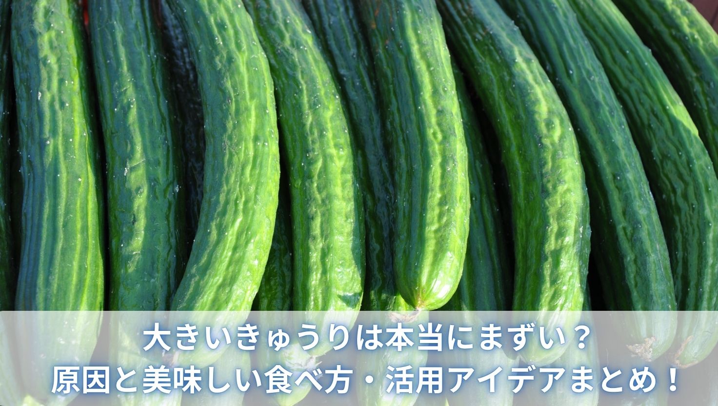 大きいきゅうりは本当にまずい？原因と美味しい食べ方・活用アイデアまとめ！