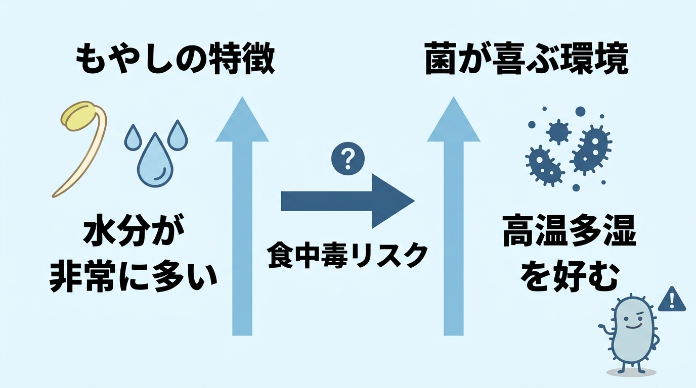 もやしナムルをお弁当に入れても大丈夫？腐る理由と見分け方